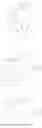 Fig. 994 - Cyclic di-nucleotide compounds as sting agonists