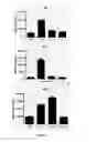 Fig. 04 - SELECTIVE GLUCOCORTICOID RECEPTOR LIGANDS