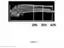 Fig. 10 - SELECTIVE GLUCOCORTICOID RECEPTOR LIGANDS