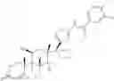 Fig. 55 - SELECTIVE GLUCOCORTICOID RECEPTOR LIGANDS