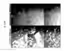 Fig. 19 - Anti-Microbial Coatings and Devices