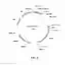 Fig. 04 - Protein secretory factor with high secretory efficiency and an expression vector comprising the same