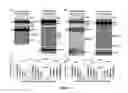 Fig. 06 - Amyloid precursor protein (APP) based Ã#-secretase inhibitor peptides, and methods of use