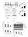 Fig. 08 - Amyloid precursor protein (APP) based Ã#-secretase inhibitor peptides, and methods of use