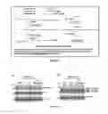 Fig. 10 - Amyloid precursor protein (APP) based Ã#-secretase inhibitor peptides, and methods of use