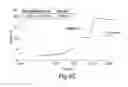 Fig. 07 - Ligands modified by circular permutation as agonists and antagonists