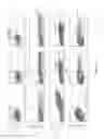 Fig. 27 - Superagonists, partial agonists and antagonists of interleukin-2