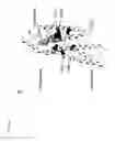 Fig. 18 - MUTANT SMOOTHENED AND METHODS OF USING THE SAME