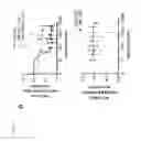 Fig. 27 - MUTANT SMOOTHENED AND METHODS OF USING THE SAME