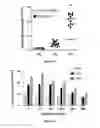 Fig. 08 - Polypeptides and uses thereof for reducing CD95-mediated cell motility