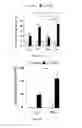 Fig. 09 - Polypeptides and uses thereof for reducing CD95-mediated cell motility