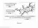 Fig. 06 - Integrin Antagonists