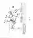 Fig. 10 - Integrin Antagonists