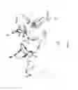 Fig. 11 - Integrin Antagonists