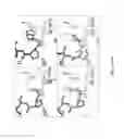 Fig. 12 - Integrin Antagonists