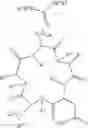 Fig. 19 - Integrin Antagonists