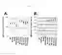 Fig. 03 - Antibodies and processes for preparing the same