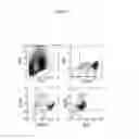 Fig. 09 - Antibodies and processes for preparing the same
