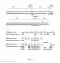 Fig. 24 - Engineering of immunoglobulin domains