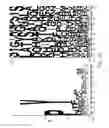 Fig. 06 - Phage-displayed antibody libraries and uses thereof