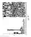 Fig. 07 - Phage-displayed antibody libraries and uses thereof