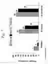 Fig. 08 - MULTIPLE-VARIABLE DOSE REGIMEN FOR TREATING TNFalpha-RELATED DISORDERS