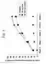 Fig. 09 - MULTIPLE-VARIABLE DOSE REGIMEN FOR TREATING TNFalpha-RELATED DISORDERS