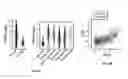 Fig. 10 - Methods of treating cancer using PD-1 axis binding antagonists and tigit inhibitors