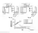 Fig. 12 - Methods of treating cancer using PD-1 axis binding antagonists and tigit inhibitors