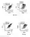 Fig. 31 - Methods of treating cancer using PD-1 axis binding antagonists and tigit inhibitors