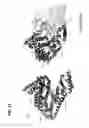 Fig. 13 - METHODS TO MANIPULATE ALPHA-FETOPROTEIN (AFP)