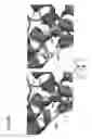 Fig. 19 - METHODS TO MANIPULATE ALPHA-FETOPROTEIN (AFP)