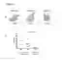 Fig. 04 - Compositions and methods to enhance the immune system