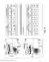 Fig. 11 - Humanized monoclonal antibodies and methods of use