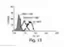 Fig. 12 - Humanized monoclonal antibodies and methods of use
