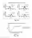 Fig. 13 - Humanized monoclonal antibodies and methods of use