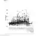 Fig. 03 - Immune Modulation and Treatment of Solid Tumors with Antibodies that Specifically Bind CD38