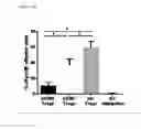 Fig. 24 - Immune Modulation and Treatment of Solid Tumors with Antibodies that Specifically Bind CD38