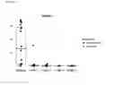 Fig. 29 - Immune Modulation and Treatment of Solid Tumors with Antibodies that Specifically Bind CD38