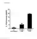 Fig. 30 - Immune Modulation and Treatment of Solid Tumors with Antibodies that Specifically Bind CD38