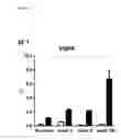 Fig. 35 - Immune Modulation and Treatment of Solid Tumors with Antibodies that Specifically Bind CD38