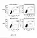 Fig. 06 - ADENOVIRAL TARGETING, COMPOSITIONS AND METHODS THEREFOR