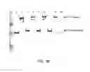 Fig. 08 - ADENOVIRAL TARGETING, COMPOSITIONS AND METHODS THEREFOR