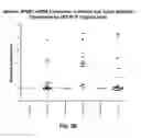 Fig. 05 - Anti-DPEP3 antibodies and methods of use