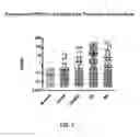 Fig. 06 - Anti-DPEP3 antibodies and methods of use