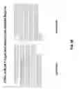 Fig. 35 - Anti-DPEP3 antibodies and methods of use