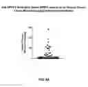 Fig. 46 - Anti-DPEP3 antibodies and methods of use