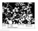 Fig. 01 - Polymer nanoparticle preparation by miniemulsion polymerization