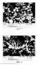 Fig. 02 - Polymer nanoparticle preparation by miniemulsion polymerization