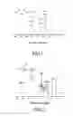 Fig. 02 - Method for synthesis of polymer containing multiple epoxy groups